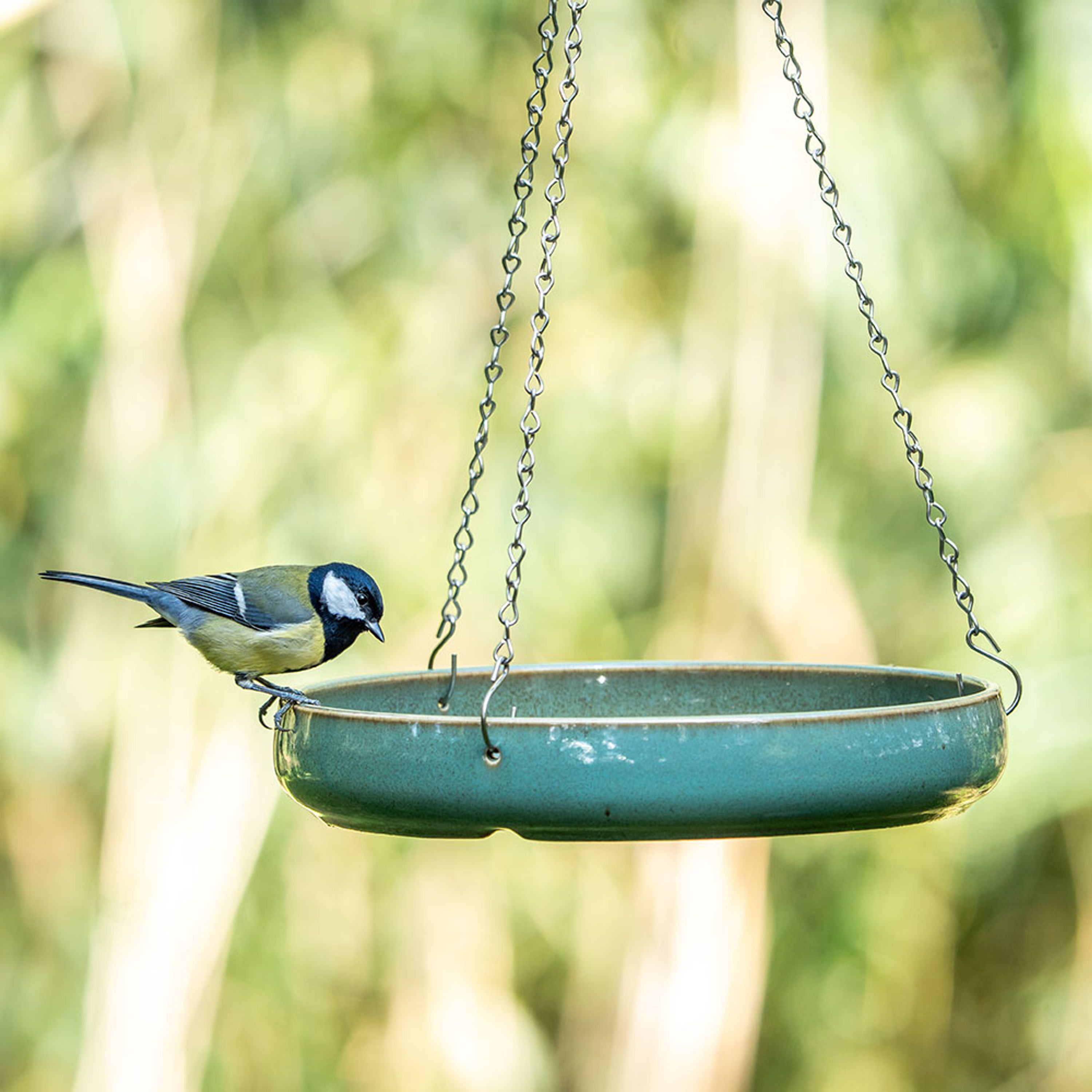 Wasserschale „Vierno” | CJ Wildlife